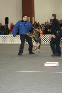 Police K9 Demonstration