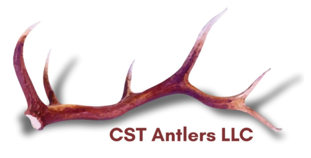 CST Antlers Logo